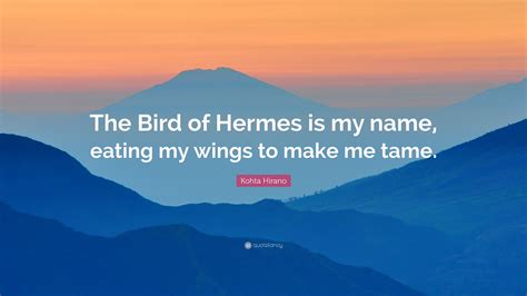 bird of hermes poem|i am the bird of hermes eating my own wings.